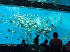 -瑞德姆美人鱼海底演艺主题餐厅(亚龙湾店)