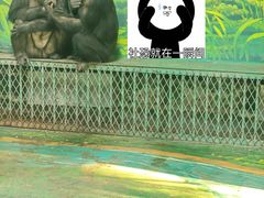 -宁波野生动物园