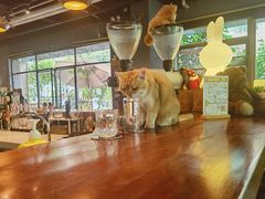 -咖法森林·咖啡  酒吧(天河店)