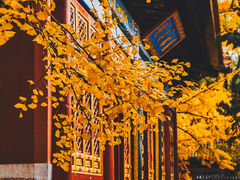 -潭柘寺景区