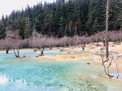-黄龙山原始森林景区