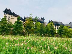 -清远熹乐谷温泉度假酒店
