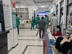 -派美特宠物医院·核磁CT·骨科肿瘤·疑难转诊(沈农禾丰店)