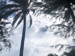 -鹅銮鼻公园
