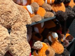 -酷乐潮玩(五道口购物中心店)