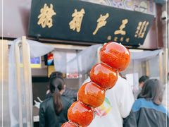 -糖葫芦王保定名吃(古莲花池店)