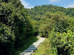 -佛山市三水区大南山森林公园