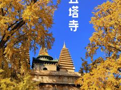 -北京石刻艺术博物馆(五塔寺)
