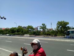 -蓬莱欧乐堡梦幻世界