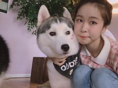 -Husky Go! 哈士奇体验馆·宠物咖啡厅狗咖