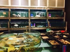 -福鼎轩海鲜大酒楼(皇轩酒店)
