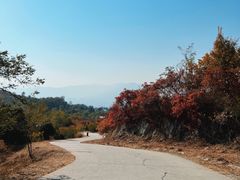 -北京西山国家森林公园