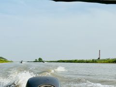 -洪湖生态旅游区