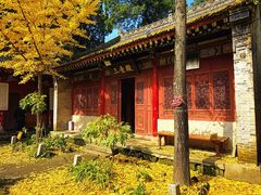 -少华山国家森林公园