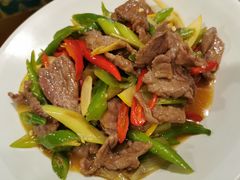 酸木瓜炒牛肉-紫滇源云南生态菜(丹凤街店)