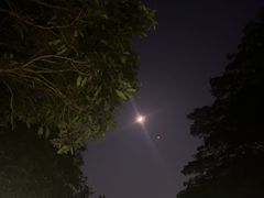 -东莞植物园