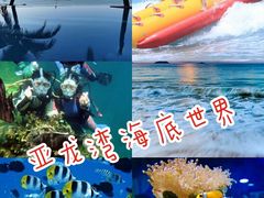 -亚龙湾海底世界