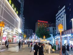 -市中心风采楼步行街