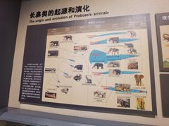 -大庆市博物馆