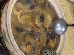 -杨记山珍鸡煲菌汤锅