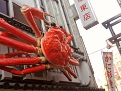 -蟹道乐(道顿堀本店)