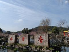 -香雪海