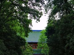 -灵谷景区