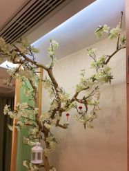 -芳朵美容养生SPA