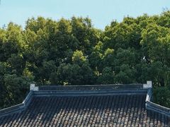 -上海佘山国家森林公园天马山园