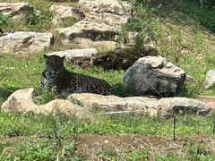 -北京野生动物园