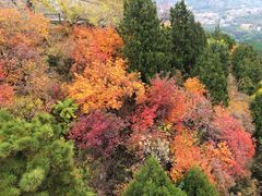 -香山公园