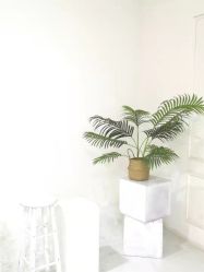 -橘子·彩虹摄影(世纪大道店)
