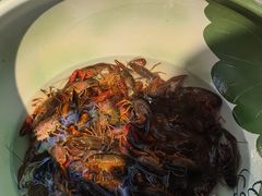 -渔掌门(铁东店)