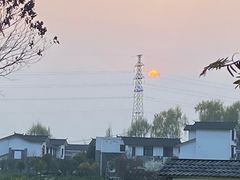 -桤木河湿地公园