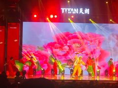-西安索菲特人民大厦大剧院