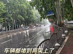 -松果酒店(农业路河南博物院店)