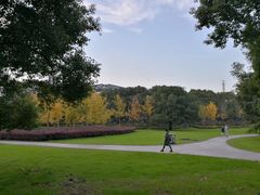 -武汉大学-樱园