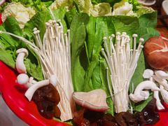 -额尔敦传统涮(公园西路店)