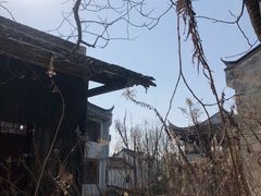 -上海鲜花港