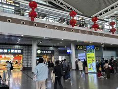 -仁信双皮奶(广州南站店)