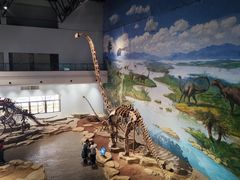 -自贡恐龙博物馆