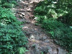 -大蜀山国家森林公园