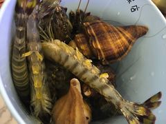 -澜悦港海鲜体验主题餐厅