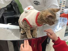-天虹购物中心(石路店)