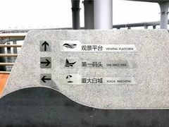 -演武大桥观景平台