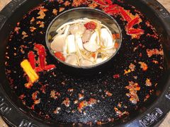 南北鸳鸯锅-重庆渝达老火锅(春熙路店)