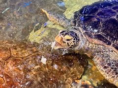 -威海华夏城景区