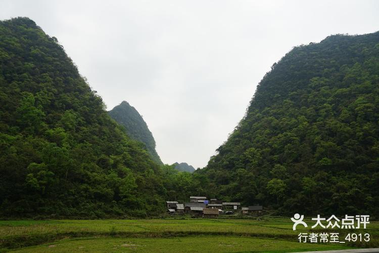 茂兰生态旅游区之石上森林