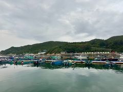 -东澳岛