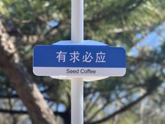 -普陀山风景区-佛顶山